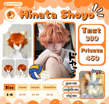 Hinata Shoyo — Haikyuu!!
